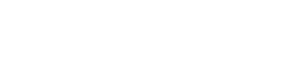 Netodet